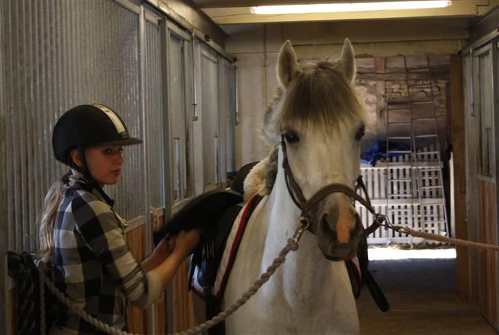 Anden særlig race Malu <33 - Fotograf: Maiken Bonde <3 billede 14