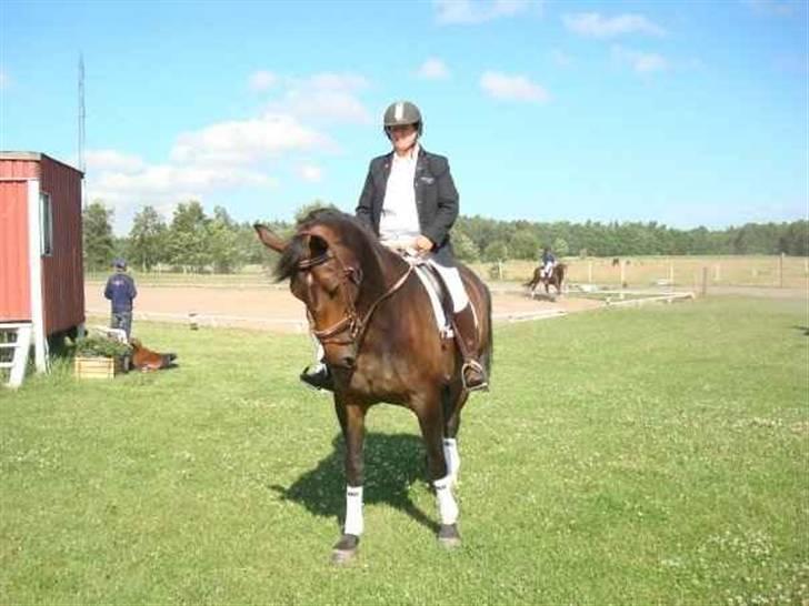 Oldenborg sentinali af danevang billede 9