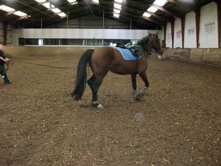 Anden særlig race Surprise :(Rider ikke mer billede 4