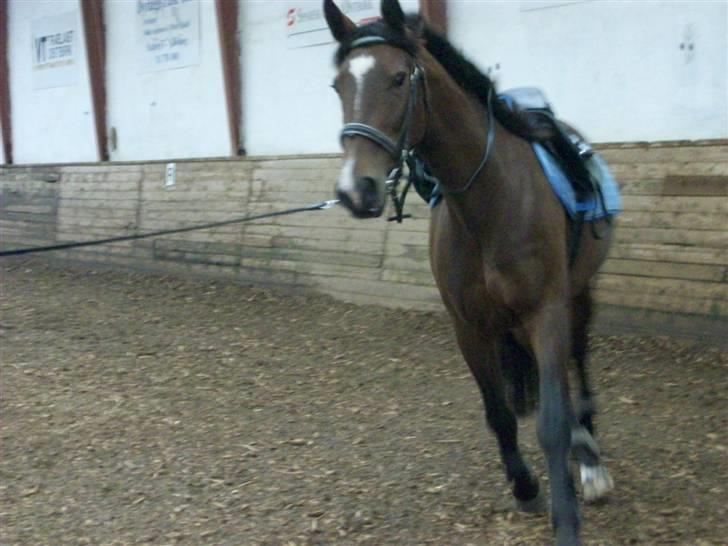 Anden særlig race Surprise :(Rider ikke mer billede 5