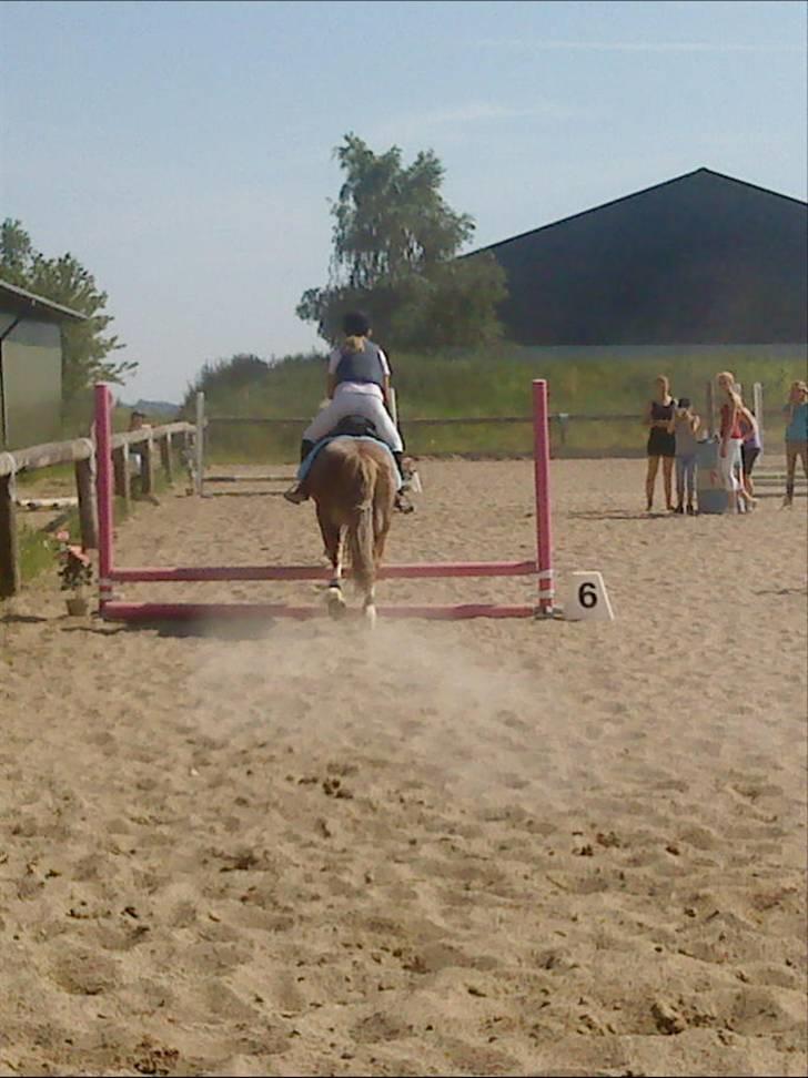 Anden særlig race Mac Gregor  - hehe fik lige bag delen :) billede 2