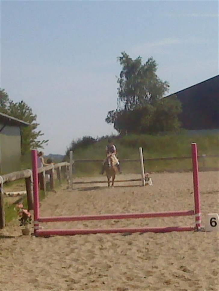 Anden særlig race Mac Gregor  - det sideste spring  billede 3