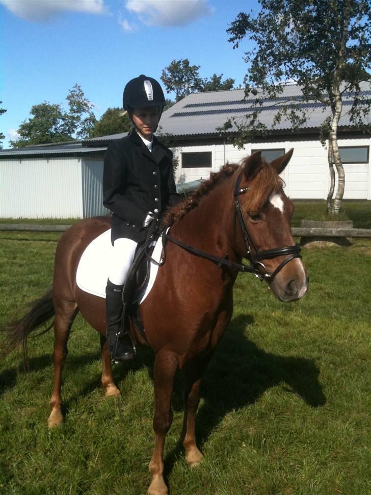 Anden særlig race Lucas - Mig og Lucas til efteårsstævne sep. 2009 Møllebjerg Rideklub  billede 1