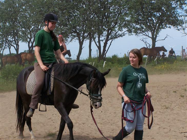 DSP Lundgaards Celine SOLGT billede 8