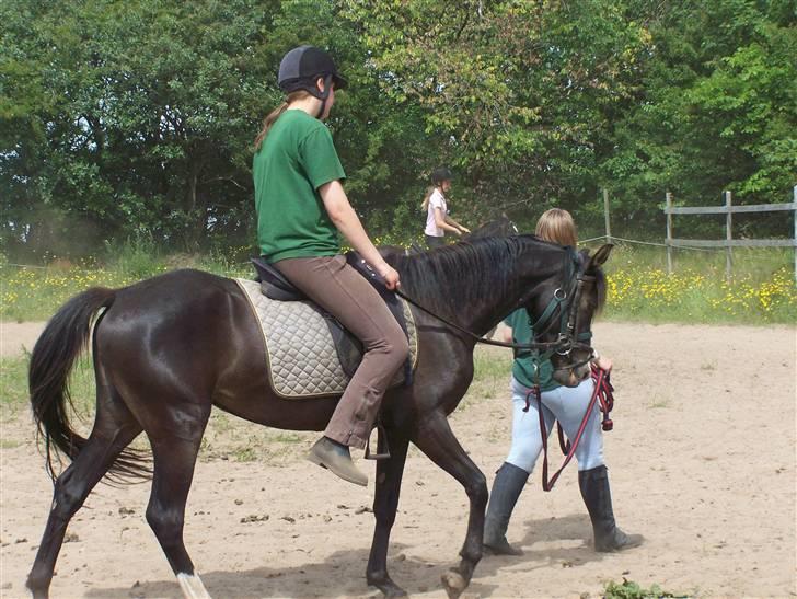 DSP Lundgaards Celine SOLGT billede 9