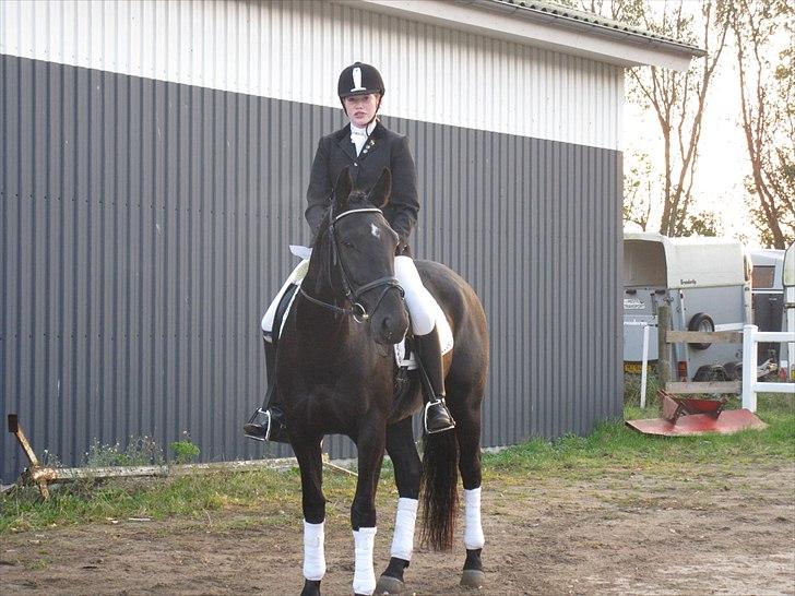 Oldenborg Honey billede 20