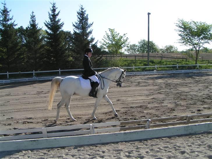 DSP Empire  billede 1