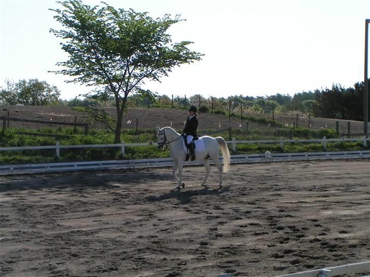 DSP Empire  billede 2