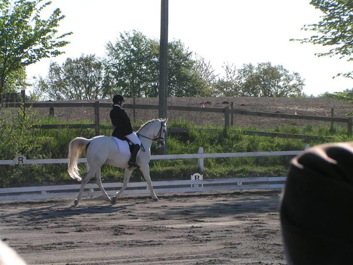 DSP Empire  billede 3