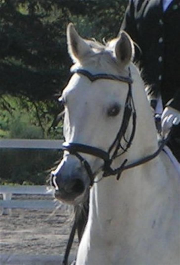 DSP Empire  billede 4