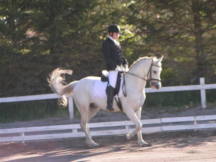 DSP Empire  billede 5