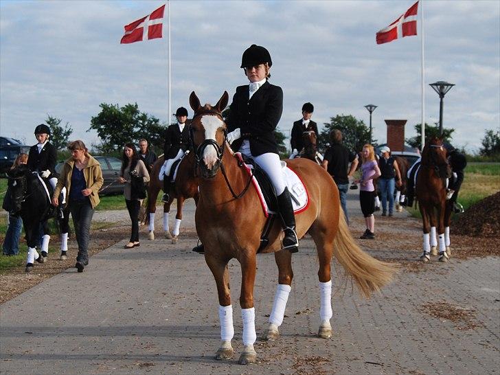Hollandsk Sportspony Blondie - Han var så dygtig..=) billede 9