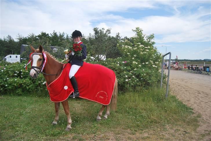 Hollandsk Sportspony Blondie - Min dejlige Pony billede 12