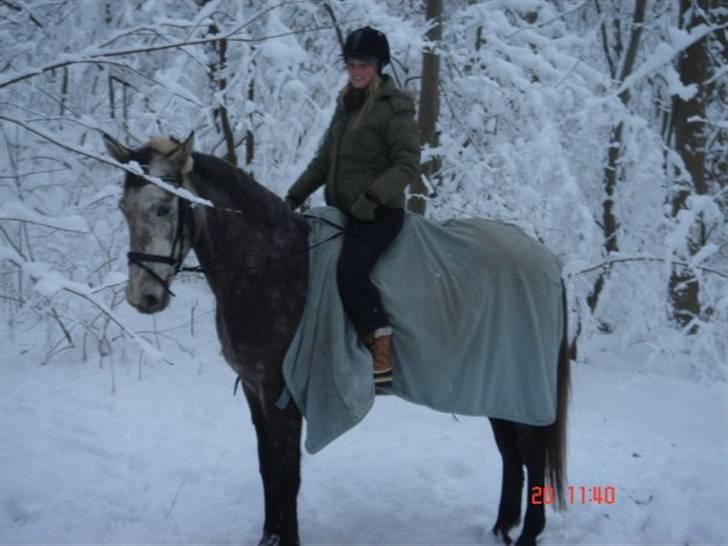 Anden særlig race <3 Domingo <3 - Vinter 2009 billede 12