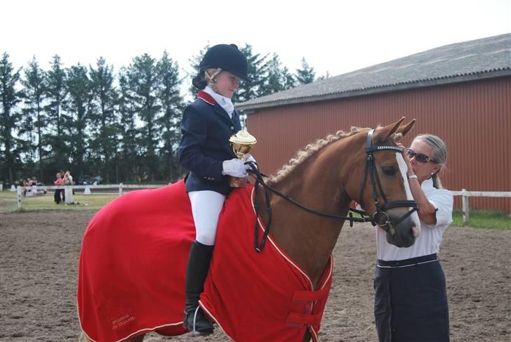Hollandsk Sportspony Blondie - til præmieoverrækkelse.. billede 14