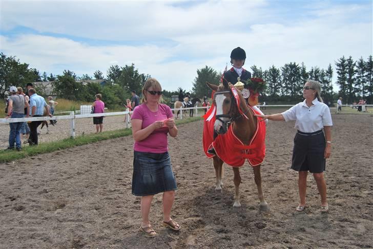 Hollandsk Sportspony Blondie - Hurra...  billede 15