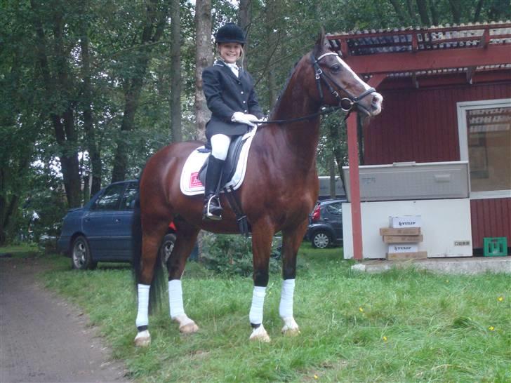 DSP Brown Bodean - solgt - Se mig... billede 9