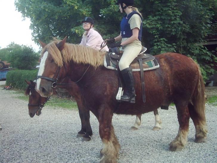 Jyde Knold billede 2