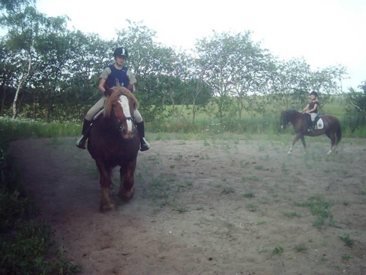 Jyde Knold - skridter af efter turen 29/6-09 billede 3