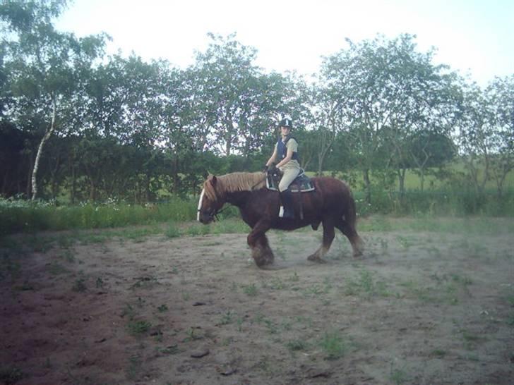 Jyde Knold billede 4