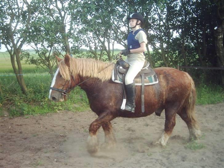 Jyde Knold - prrrrrrr... billede 5