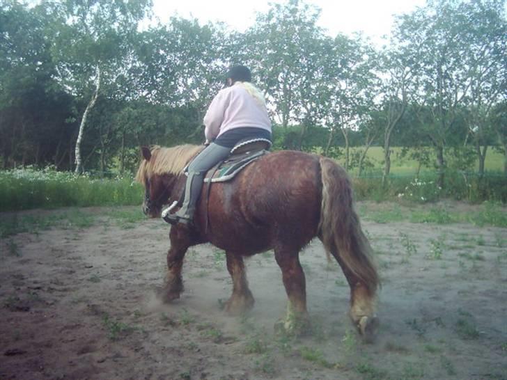 Jyde Knold billede 6