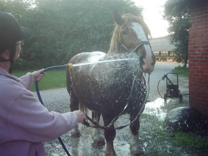 Jyde Knold - mmmm, dejligt billede 10