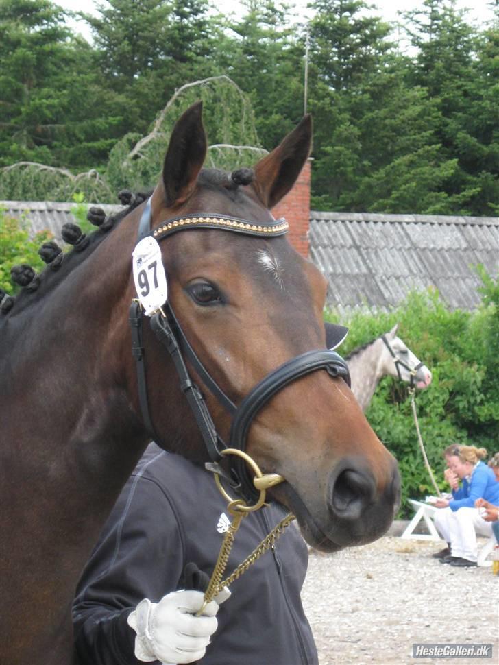 DSP Moonjams Poème *B-pony*  billede 6