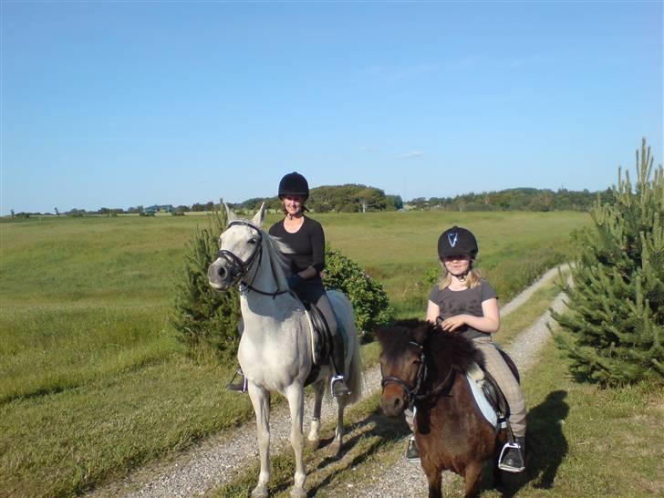 Anden særlig race dino boy " SOLGT " billede 10