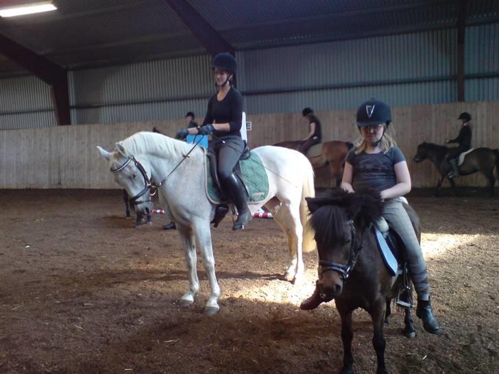 Anden særlig race dino boy " SOLGT " billede 11