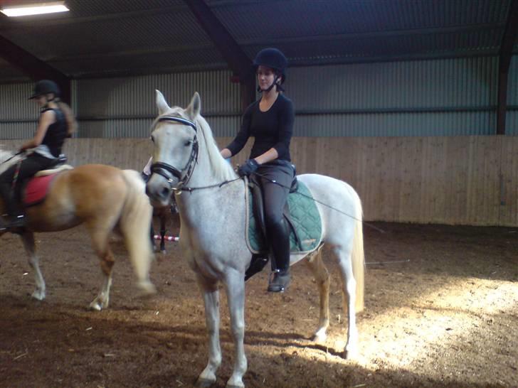 Anden særlig race dino boy " SOLGT " billede 12