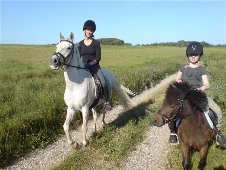Anden særlig race dino boy " SOLGT " billede 13