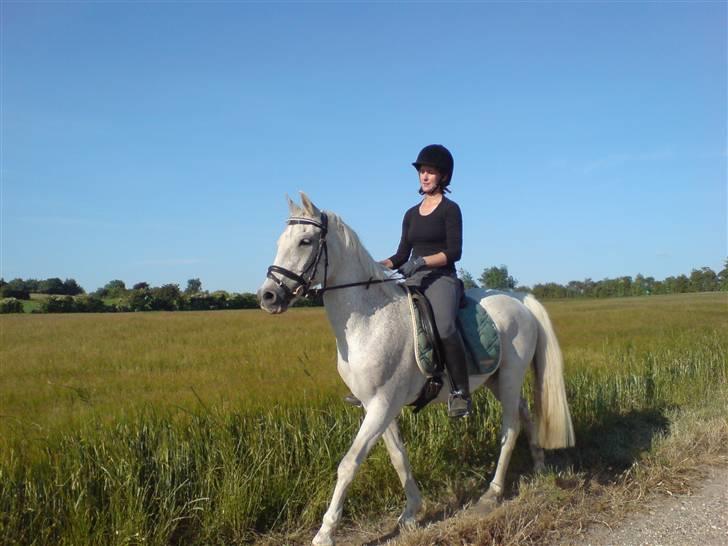 Anden særlig race dino boy " SOLGT " billede 14