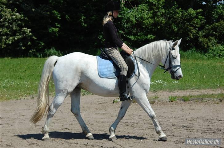 Anden særlig race Laura min prinsesse:) solgt billede 3