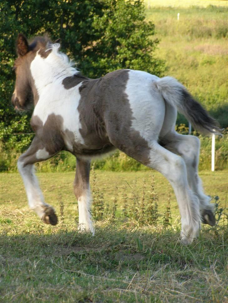 Tinker Keep Kool Krede Krasuld billede 5