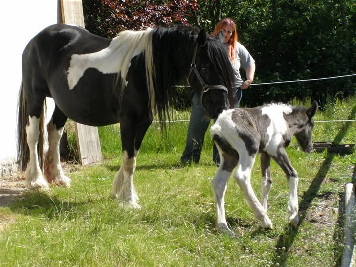 Tinker Keep Kool Krede Krasuld - Helt ny og noget usikker.. billede 7