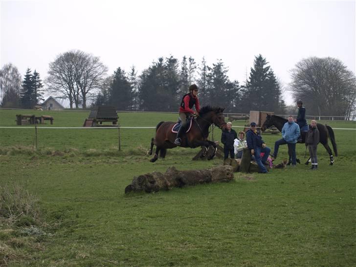 Anden særlig race lucky star billede 9