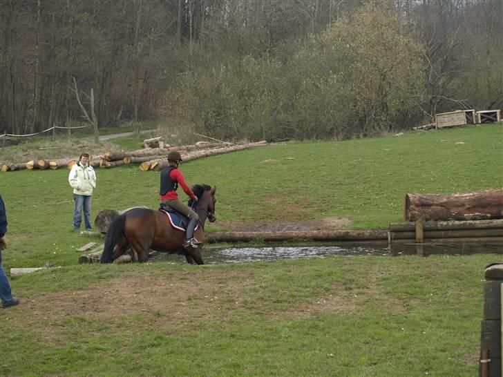 Anden særlig race lucky star billede 10