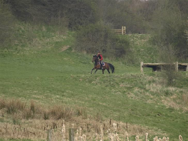 Anden særlig race lucky star billede 2