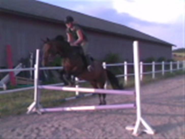 Anden særlig race Maroco Die Granx´s..SOLGT - Mally og jeg springer <3 Foto: Frederieke billede 4