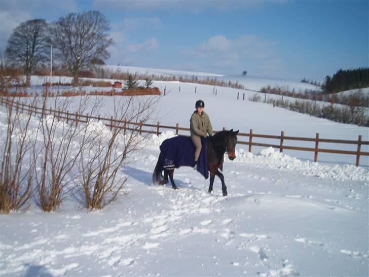 Anden særlig race Maroco Die Granx´s..SOLGT - Mally og jeg i sneen 22.02.10 Foto: Frederieke billede 5