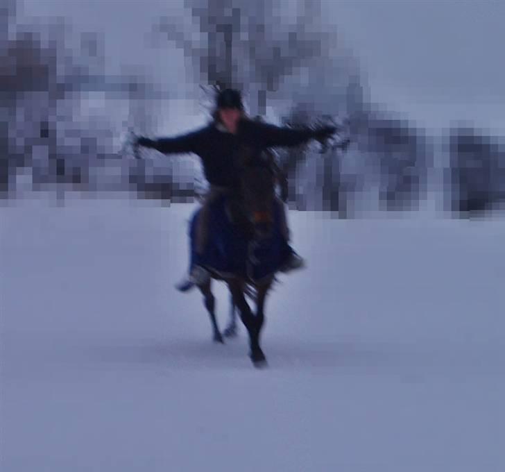 Anden særlig race Maroco Die Granx´s..SOLGT - Mally og jeg i sneen 22.02.10 Foto: Frederieke billede 6