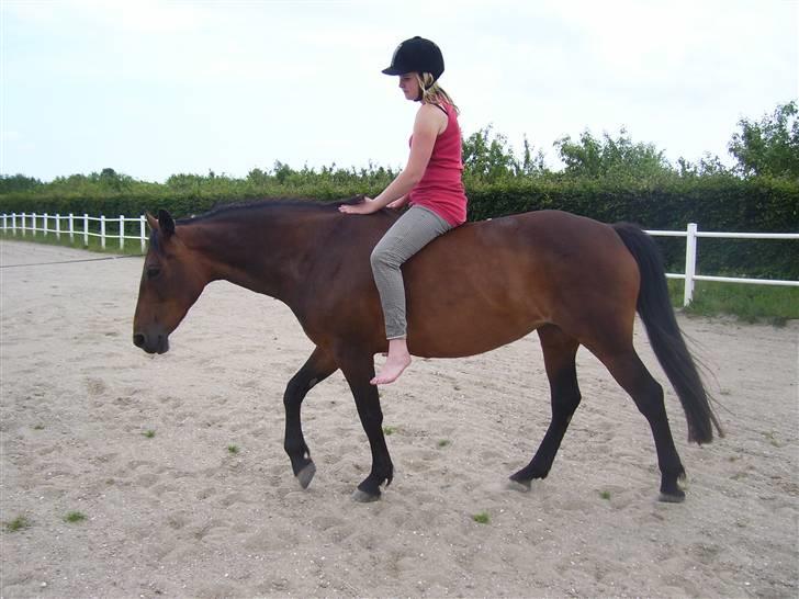 Anden særlig race Maroco Die Granx´s..SOLGT - Mally og jeg <3 Foto: Frederieke billede 7