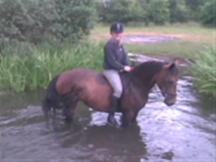 Anden særlig race Maroco Die Granx´s..SOLGT - Mally og jeg i søen <3 Foto: Frederieke billede 9