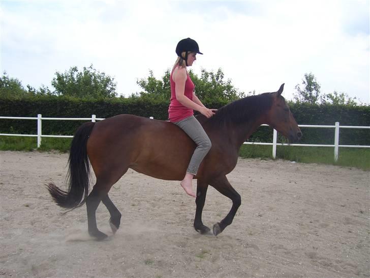 Anden særlig race Maroco Die Granx´s..SOLGT - every day and every night, we´ll be a team <3 Foto: Frederieke billede 10