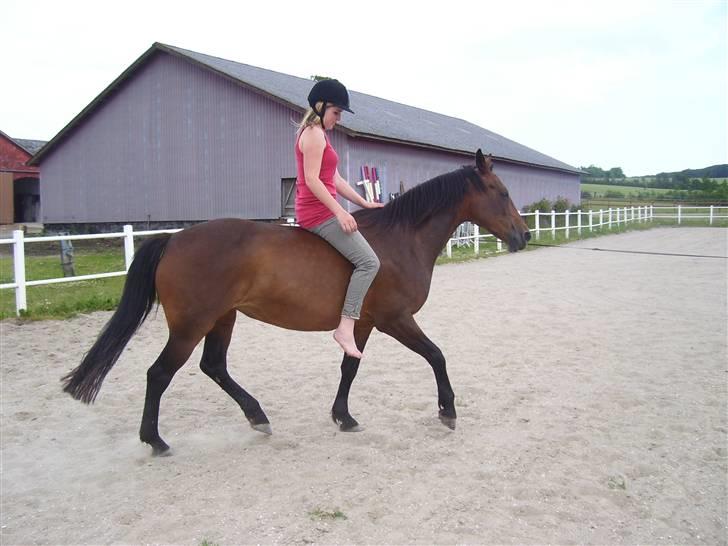 Anden særlig race Maroco Die Granx´s..SOLGT - some people says you´re bad, but I´ll say you´re perfect <3 Foto: Frederieke billede 11