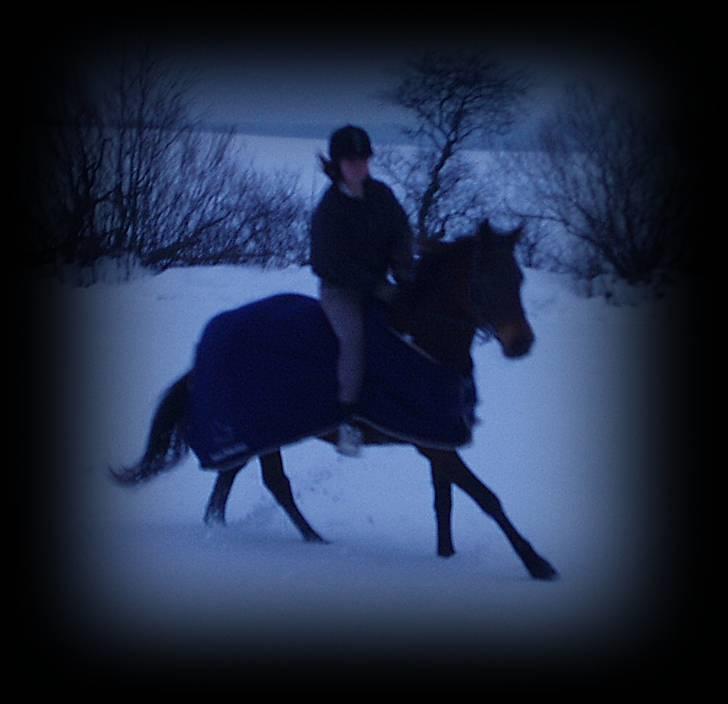 Anden særlig race Maroco Die Granx´s..SOLGT - Mally og jeg i sneen 22.02.10 Foto: Frederieke billede 17