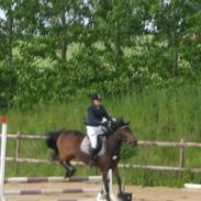 Anden særlig race Rocky R.I.P :'(