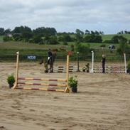 Anden særlig race Rocky R.I.P :'(