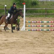 Anden særlig race Rocky R.I.P :'(